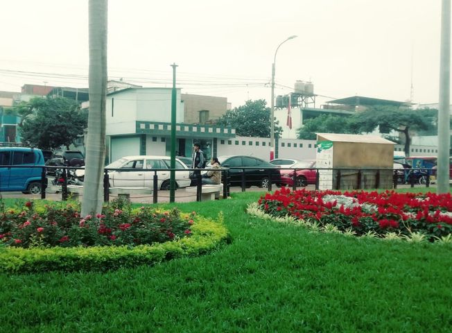 place photo 25