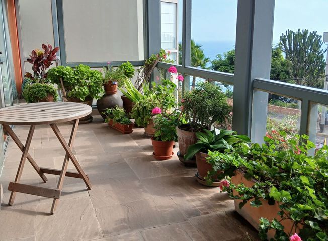 Imagen 2 de Apartamento