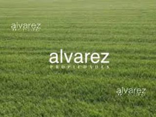 Terreno En Venta  Francisco Álvarez