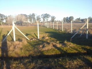 Foto 2 de FRACCIÓN en Venta en Coronel Brandsen