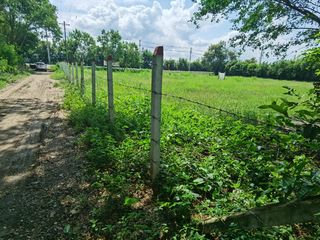Foto 1 de Se vende espectacular lote esquinero en ricaurte cundinamarca uso múltiple