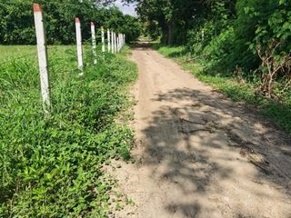 Foto 5 de Se vende espectacular lote esquinero en ricaurte cundinamarca uso múltiple