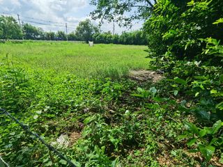 Foto 2 de Se vende espectacular lote esquinero en ricaurte cundinamarca uso múltiple