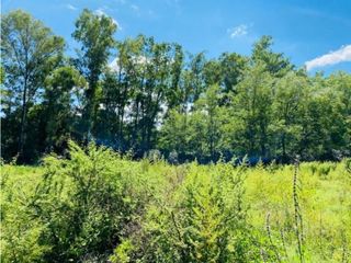 VENTA FRACCIÓN DE 7 HECTREAS EN ALTA VISTA