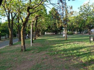 Foto 8 de VENTA DE CASA EN Lobos
