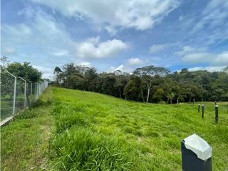 Foto 6 de LOTE EN VENTA PARCELACION MAMA LOMBRIZ POPAYAN