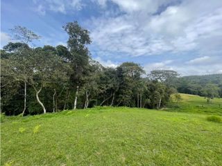 Foto 2 de LOTE EN VENTA PARCELACION MAMA LOMBRIZ POPAYAN