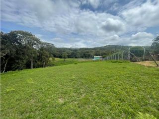 Foto 4 de LOTE EN VENTA PARCELACION MAMA LOMBRIZ POPAYAN