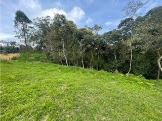 Foto 3 de LOTE EN VENTA PARCELACION MAMA LOMBRIZ POPAYAN