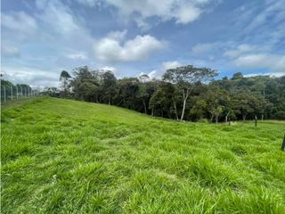 Foto 7 de LOTE EN VENTA PARCELACION MAMA LOMBRIZ POPAYAN