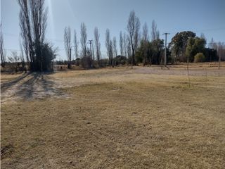 Foto 14 de VENDO CASA QUINTA EN SAN RAFAEL MENDOZA