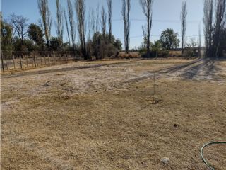 Foto 13 de VENDO CASA QUINTA EN SAN RAFAEL MENDOZA