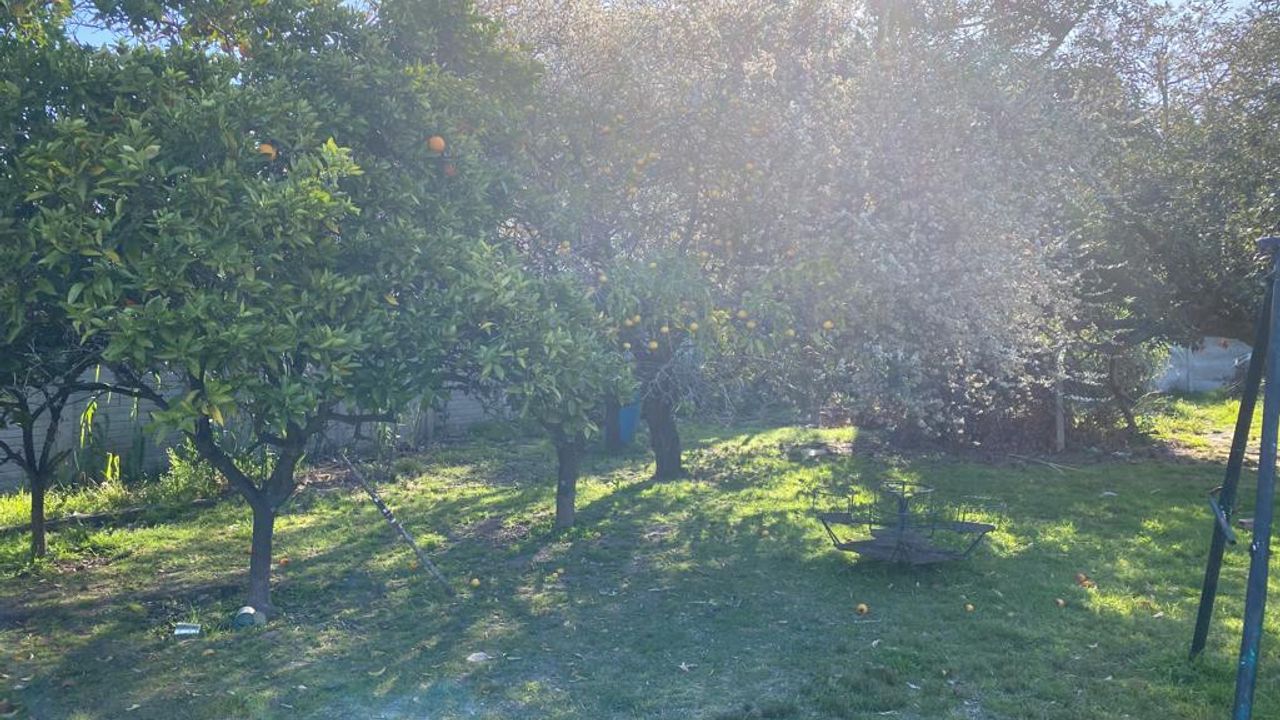 place photo 16