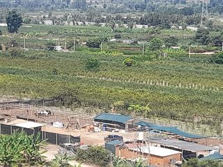 TERRENO EN VENTA -  FUNDO AGRICOLA DE 5 HAS. CON PLANTACIONES DE UVA Y OTROS FRUTALES