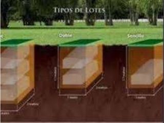 Foto 18 de LOTE PARQUE CEMENTERIO 