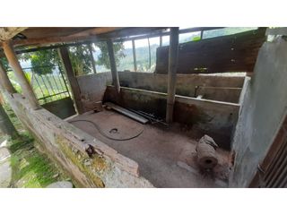 Foto 3 de Finca productiva en venta CORDOBA QUINDIO.
