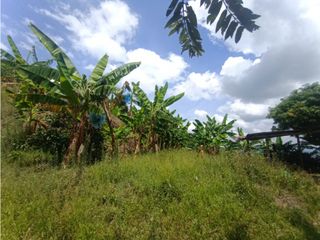 Foto 16 de Finca productiva en venta CORDOBA QUINDIO.