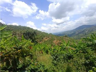 Foto 2 de Finca productiva en venta CORDOBA QUINDIO.