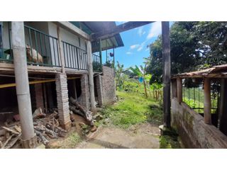 Foto 7 de Finca productiva en venta CORDOBA QUINDIO.