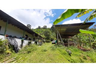 Foto 6 de Finca productiva en venta CORDOBA QUINDIO.
