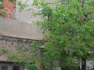Foto 8 de BOEDO VENTA PH EN CONSTRUCCION DE 2 AMBIENTES CON TERRAZA SIN EXPENSAS. APTO PROFESIONAL. GIBSON AL 4000 2°12.