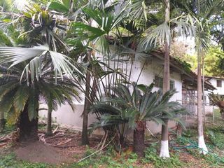 Foto 4 de finca en venta en yotoco. Cod V8605