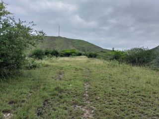 Foto 25 de finca en venta en yotoco. Cod V8605