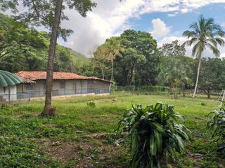 Foto 12 de finca en venta en yotoco. Cod V8605