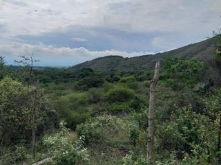 Foto 13 de finca en venta en yotoco. Cod V8605