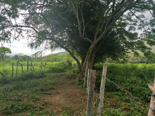 Foto 27 de finca en venta en yotoco. Cod V8605