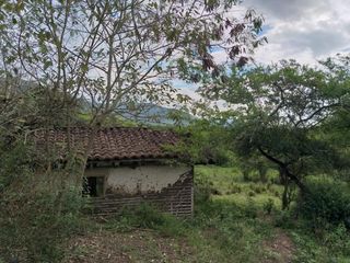 Foto 26 de finca en venta en yotoco. Cod V8605