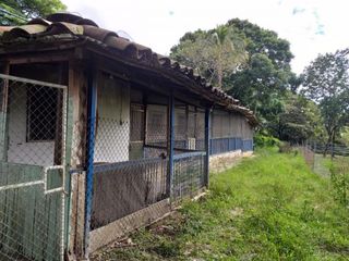 Foto 3 de finca en venta en yotoco. Cod V8605