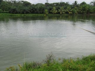 Foto 4 de Terrenos Agricolas Venta Caserio San Lucas - IQUITOS