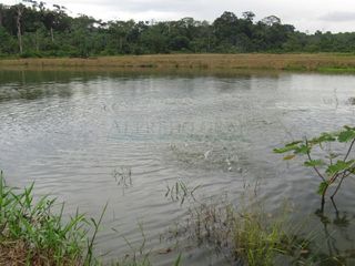 Foto 2 de Terrenos Agricolas Venta Caserio San Lucas - IQUITOS