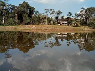 Foto 1 de Terrenos Agricolas Venta Caserio San Lucas - IQUITOS