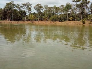 Foto 5 de Terrenos Agricolas Venta Caserio San Lucas - IQUITOS