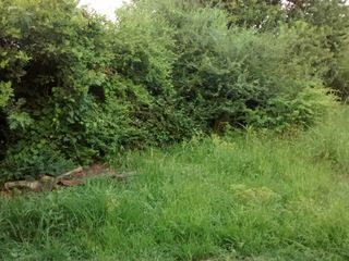Foto 3 de VENDO TERRENO CON CASA PREFABRICADA EN APOSTOLES MISIONES