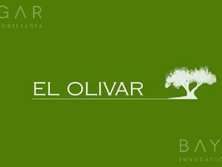 Venta - Lotes en El Olivar Nuevo Emprendimiento - Bayugar Negocios Inmobiliarios