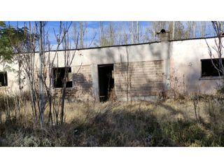 Foto 9 de VENTA DE FINCA 25 HAS EN CALLE NUEVA GIL, LA CENTRAL- RIVADAVIA.