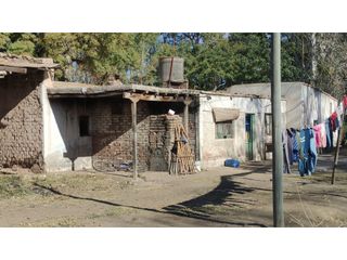 Foto 6 de VENTA DE FINCA 25 HAS EN CALLE NUEVA GIL, LA CENTRAL- RIVADAVIA.