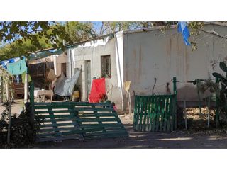 Foto 7 de VENTA DE FINCA 25 HAS EN CALLE NUEVA GIL, LA CENTRAL- RIVADAVIA.