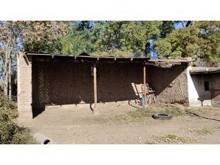 Foto 4 de VENTA DE FINCA 25 HAS EN CALLE NUEVA GIL, LA CENTRAL- RIVADAVIA.