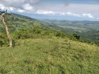 Foto 6 de VENDE EXCELENTE FINCA EN BUGA VEREDA MIRAFLORES
