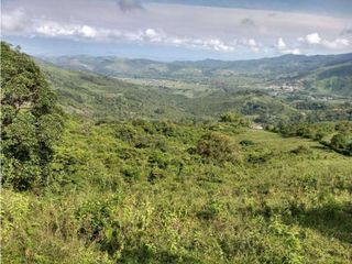 Foto 3 de VENDE EXCELENTE FINCA EN BUGA VEREDA MIRAFLORES