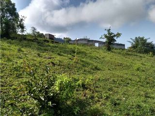 Foto 5 de VENDE EXCELENTE FINCA EN BUGA VEREDA MIRAFLORES