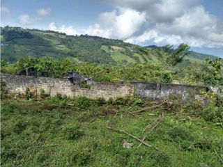 Foto 17 de VENDE EXCELENTE FINCA EN BUGA VEREDA MIRAFLORES