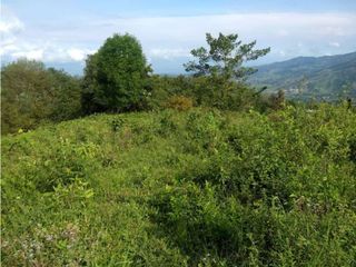 Foto 10 de VENDE EXCELENTE FINCA EN BUGA VEREDA MIRAFLORES