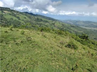 Foto 8 de VENDE EXCELENTE FINCA EN BUGA VEREDA MIRAFLORES