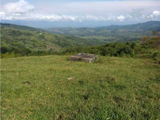Foto 1 de VENDE EXCELENTE FINCA EN BUGA VEREDA MIRAFLORES