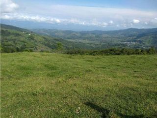 Foto 16 de VENDE EXCELENTE FINCA EN BUGA VEREDA MIRAFLORES